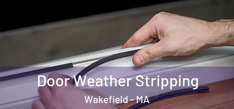  Door Weather Stripping Wakefield - MA