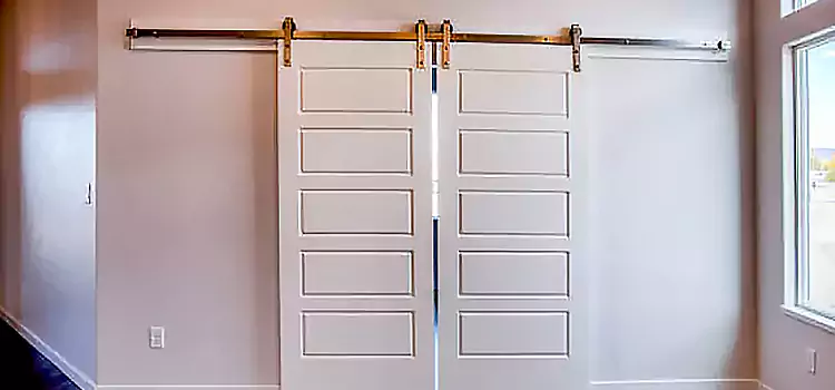 Glass Barn Door with Installation Hardware Kit Wakefield